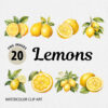 Watercolor Lemon PNG Clipart Bundle