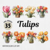 Watercolor Tulip PNG Clipart Bundle