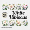 Watercolor White Hibiscus PNG Clipart Bundle