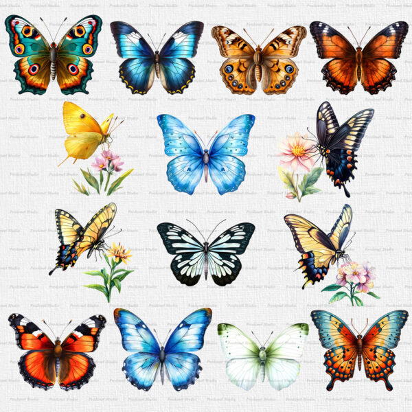 Watercolor Butterfly PNG Clipart Bundle #1 - Image 4