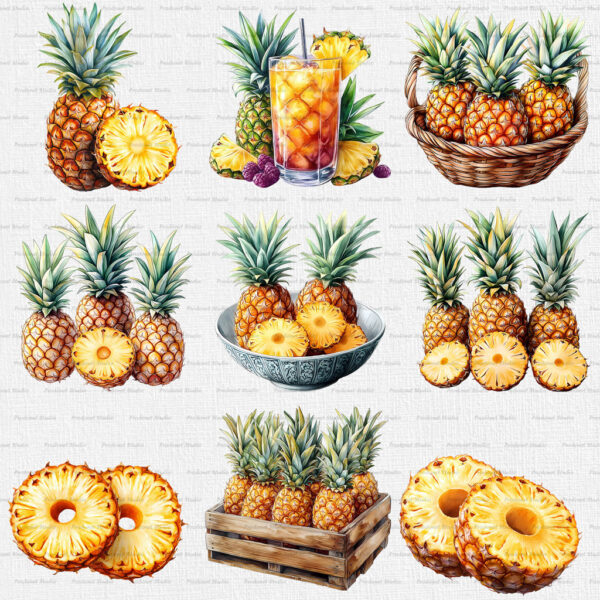 Watercolor Pineapple PNG Bundle - Image 3