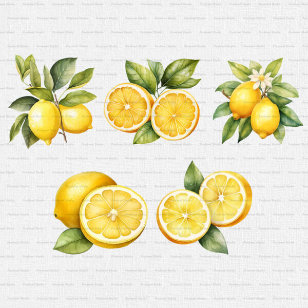 Watercolor Lemon PNG Clipart Bundle - Image 3