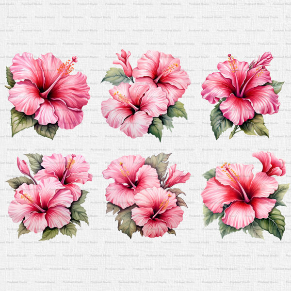 Watercolor Pink Hibiscus PNG Clipart Bundle - Image 2
