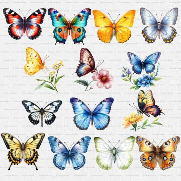 Watercolor Butterfly PNG Clipart Bundle #1 - Image 5