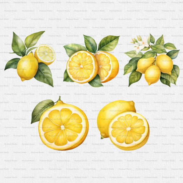 Watercolor Lemon PNG Clipart Bundle - Image 4