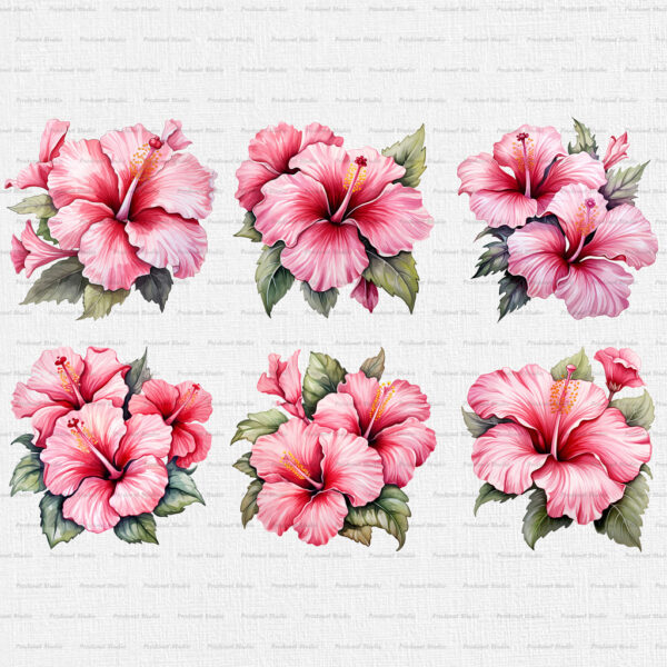 Watercolor Pink Hibiscus PNG Clipart Bundle - Image 3