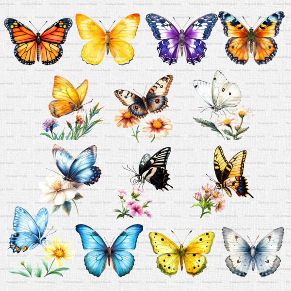 Watercolor Butterfly PNG Clipart Bundle #1 - Image 6