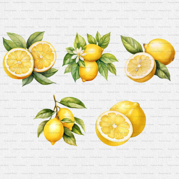 Watercolor Lemon PNG Clipart Bundle - Image 5