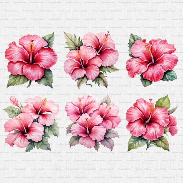 Watercolor Pink Hibiscus PNG Clipart Bundle - Image 4