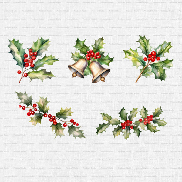 Watercolor Christmas Holly PNG Clipart Bundle - Image 5