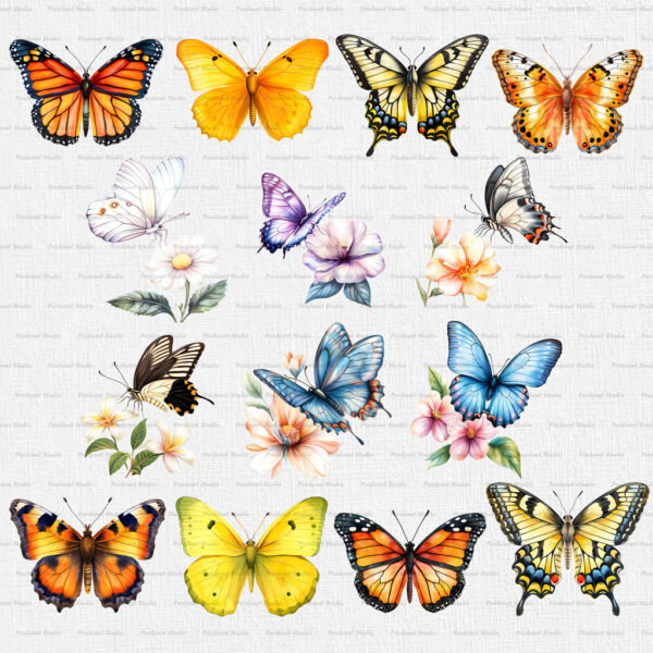 Watercolor Butterfly PNG Clipart Bundle #1 - Image 2
