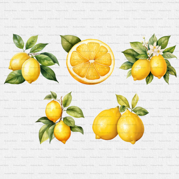 Watercolor Lemon PNG Clipart Bundle - Image 2