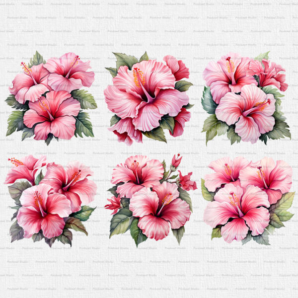 Watercolor Pink Hibiscus PNG Clipart Bundle - Image 5