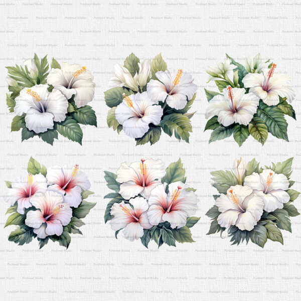 Watercolor White Hibiscus PNG Clipart Bundle - Image 5