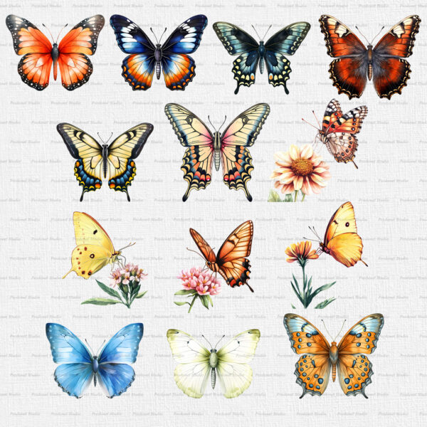 Watercolor Butterfly PNG Clipart Bundle #1 - Image 3
