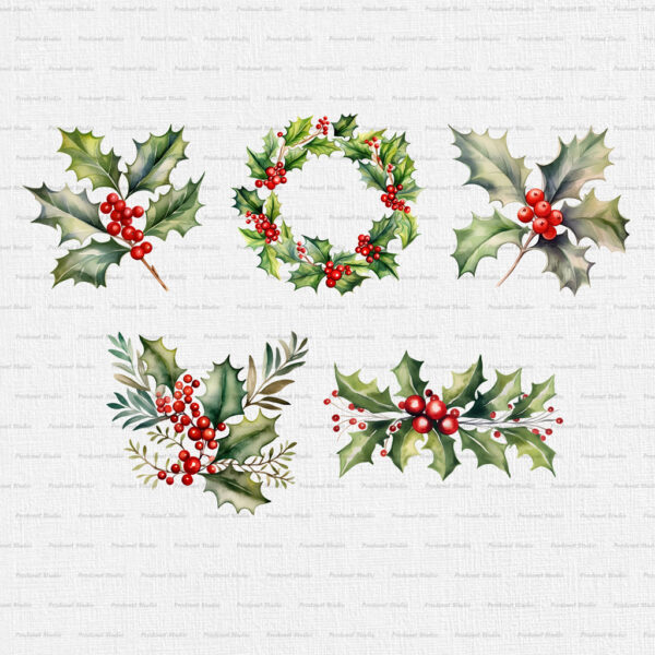 Watercolor Christmas Holly PNG Clipart Bundle - Image 2