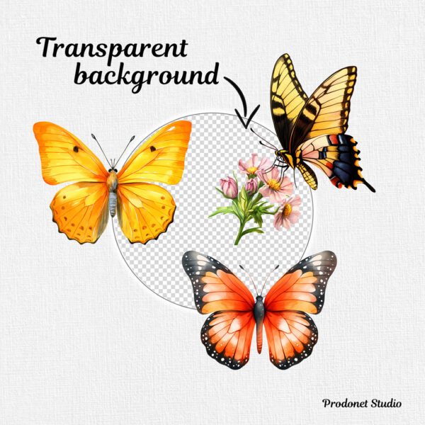 Watercolor Butterfly PNG Clipart Bundle #1 - Image 7
