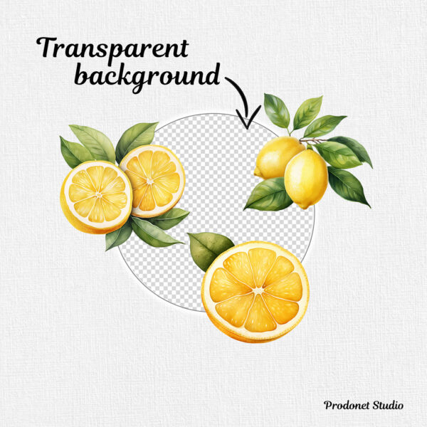 Watercolor Lemon PNG Clipart Bundle - Image 6