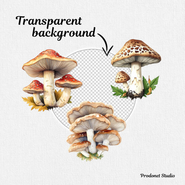 Watercolor Mushrooms PNG Clipart Bundle - Image 7