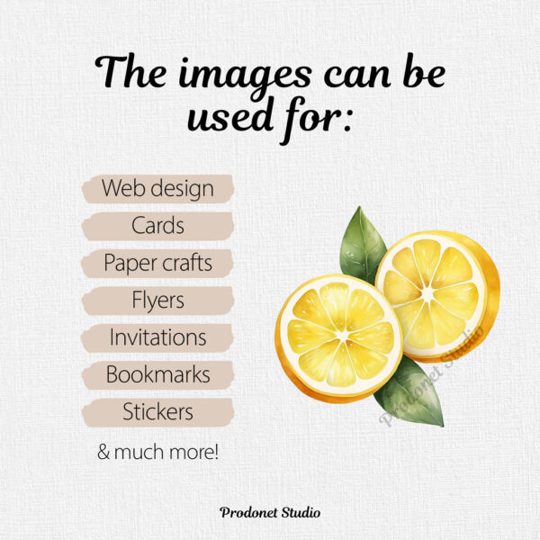 Watercolor Lemon PNG Clipart Bundle - Image 7