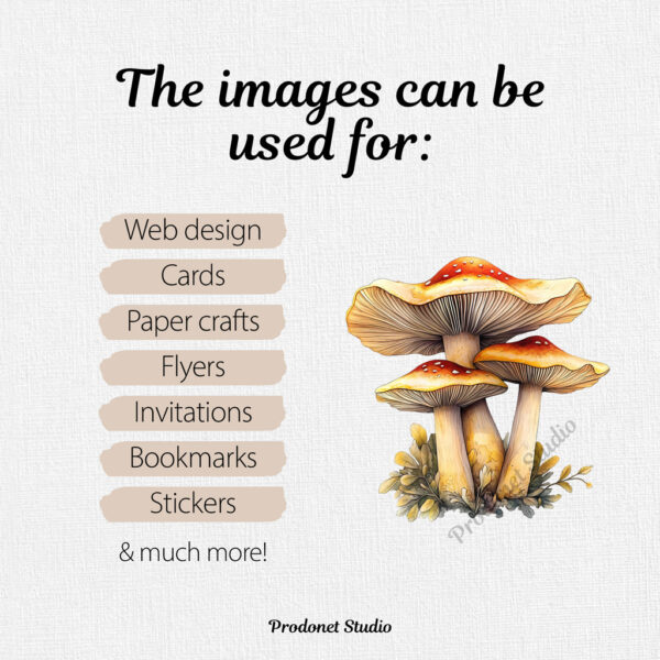 Watercolor Mushrooms PNG Clipart Bundle - Image 9