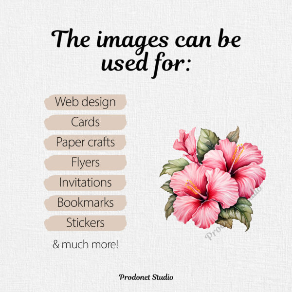 Watercolor Pink Hibiscus PNG Clipart Bundle - Image 7