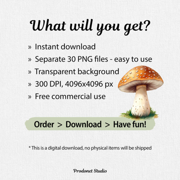 Watercolor Mushrooms PNG Clipart Bundle - Image 8