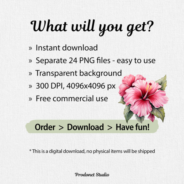 Watercolor Pink Hibiscus PNG Clipart Bundle - Image 8