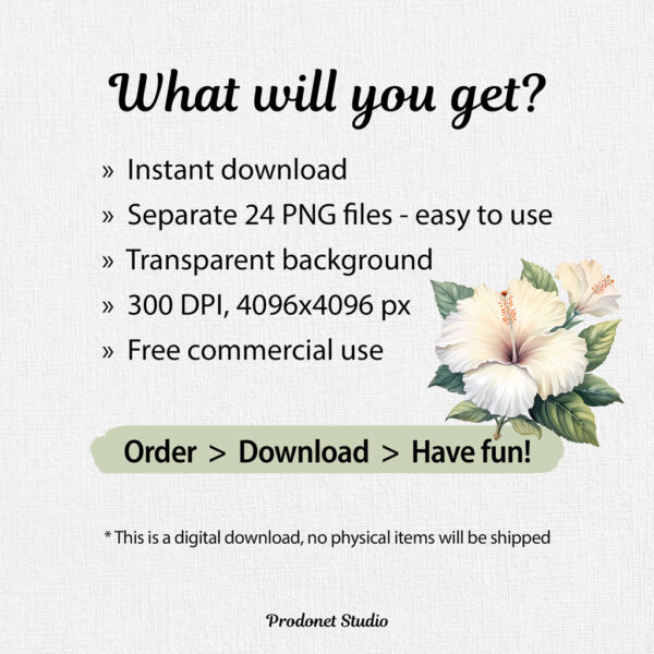 Watercolor White Hibiscus PNG Clipart Bundle - Image 8