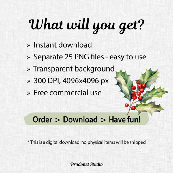 Watercolor Christmas Holly PNG Clipart Bundle - Image 8