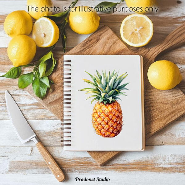 Watercolor Pineapple PNG Bundle - Image 9