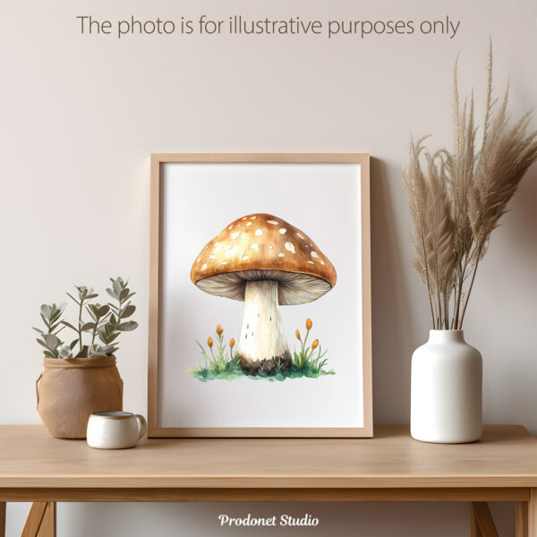 Watercolor Mushrooms PNG Clipart Bundle - Image 10