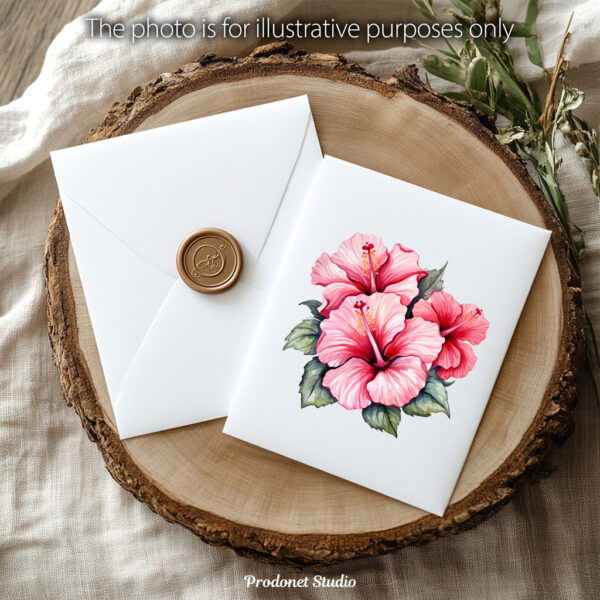 Watercolor Pink Hibiscus PNG Clipart Bundle - Image 9