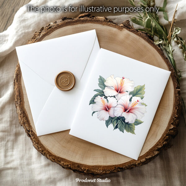 Watercolor White Hibiscus PNG Clipart Bundle - Image 9